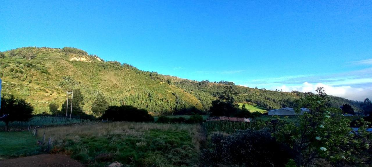 Hospedaje Y Camping Del Rio Mongui Bagian luar foto