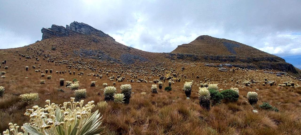 Hospedaje Y Camping Del Rio Mongui Bagian luar foto