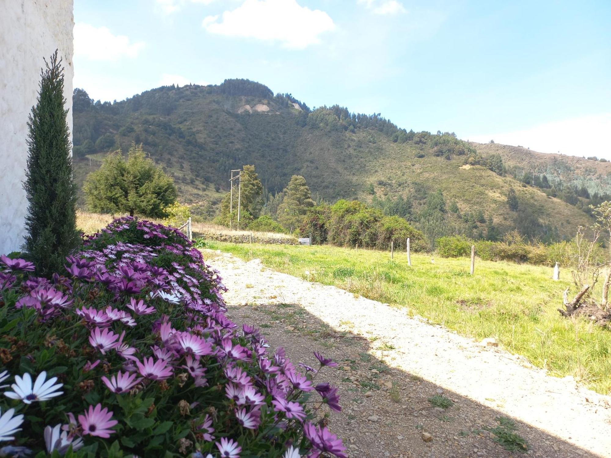 Hospedaje Y Camping Del Rio Mongui Bagian luar foto