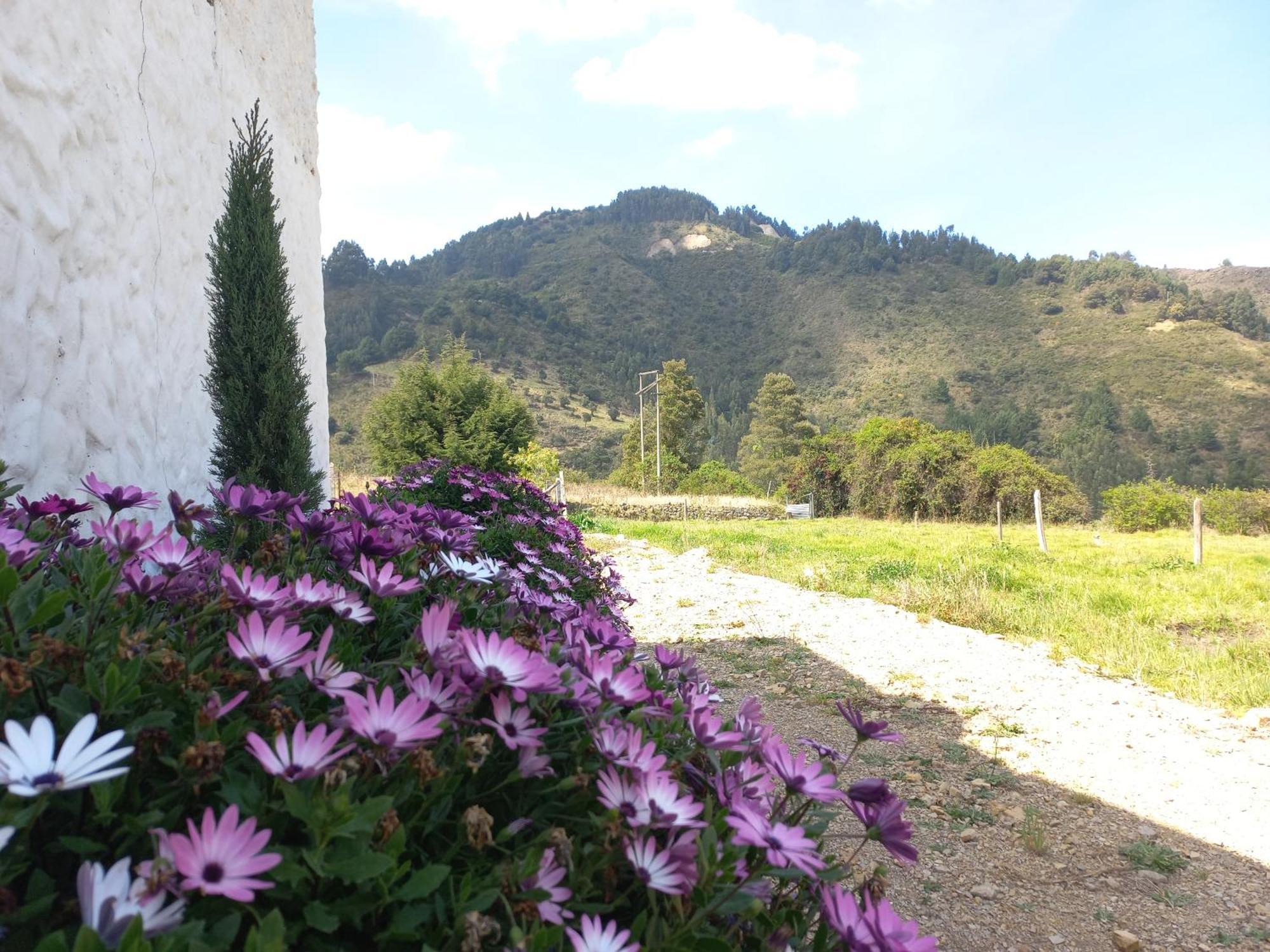 Hospedaje Y Camping Del Rio Mongui Bagian luar foto