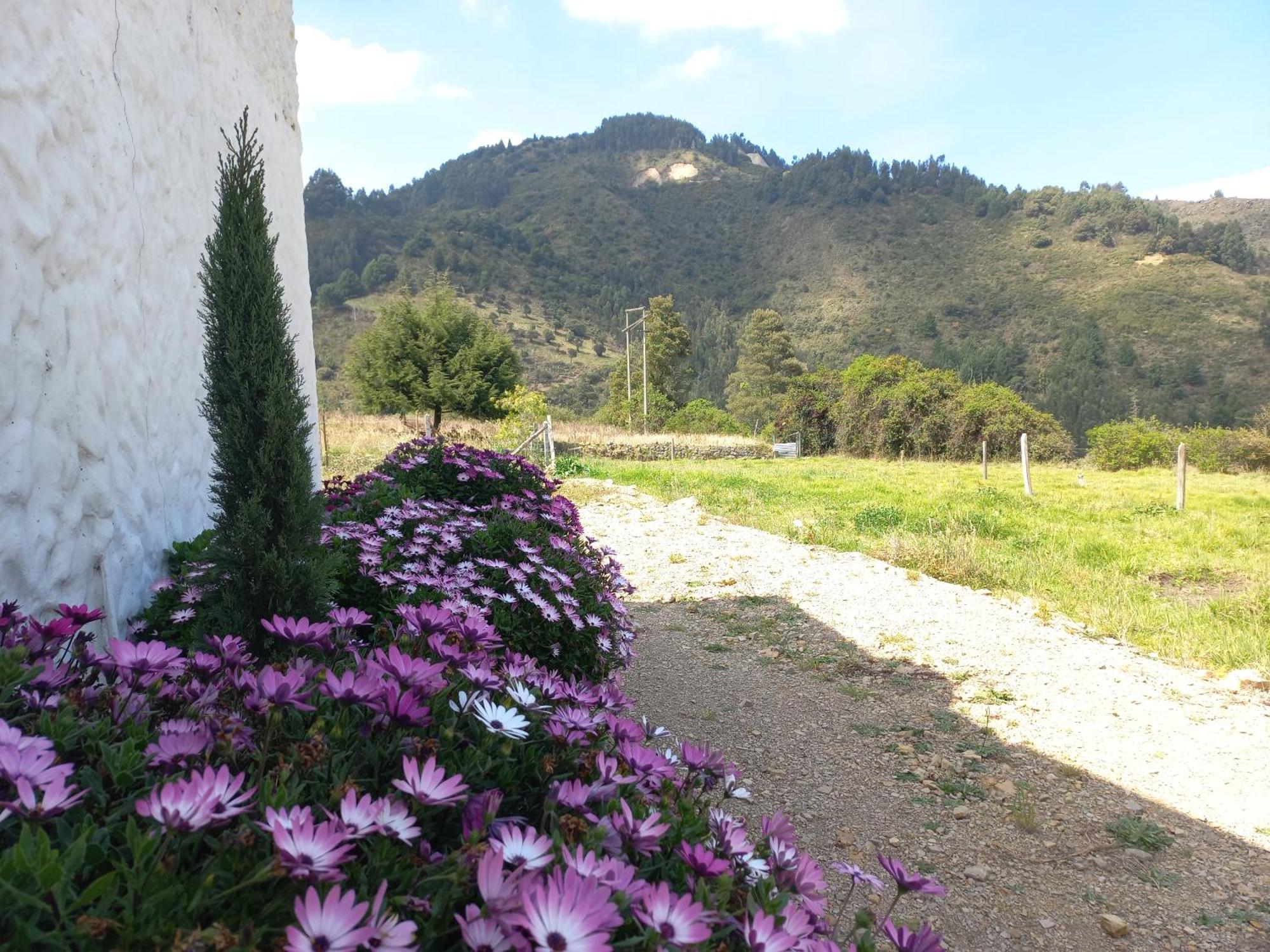 Hospedaje Y Camping Del Rio Mongui Bagian luar foto