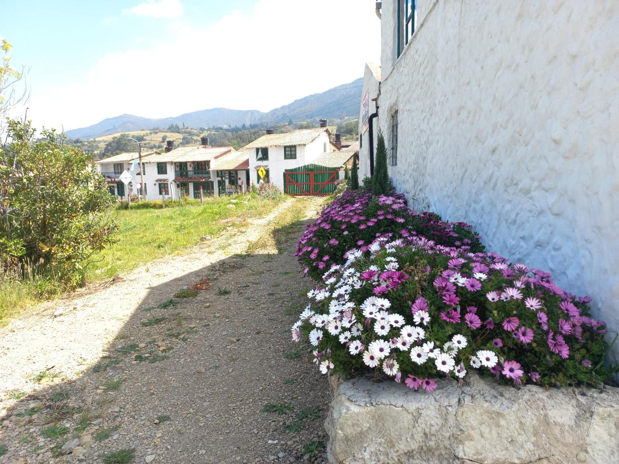 Hospedaje Y Camping Del Rio Mongui Bagian luar foto