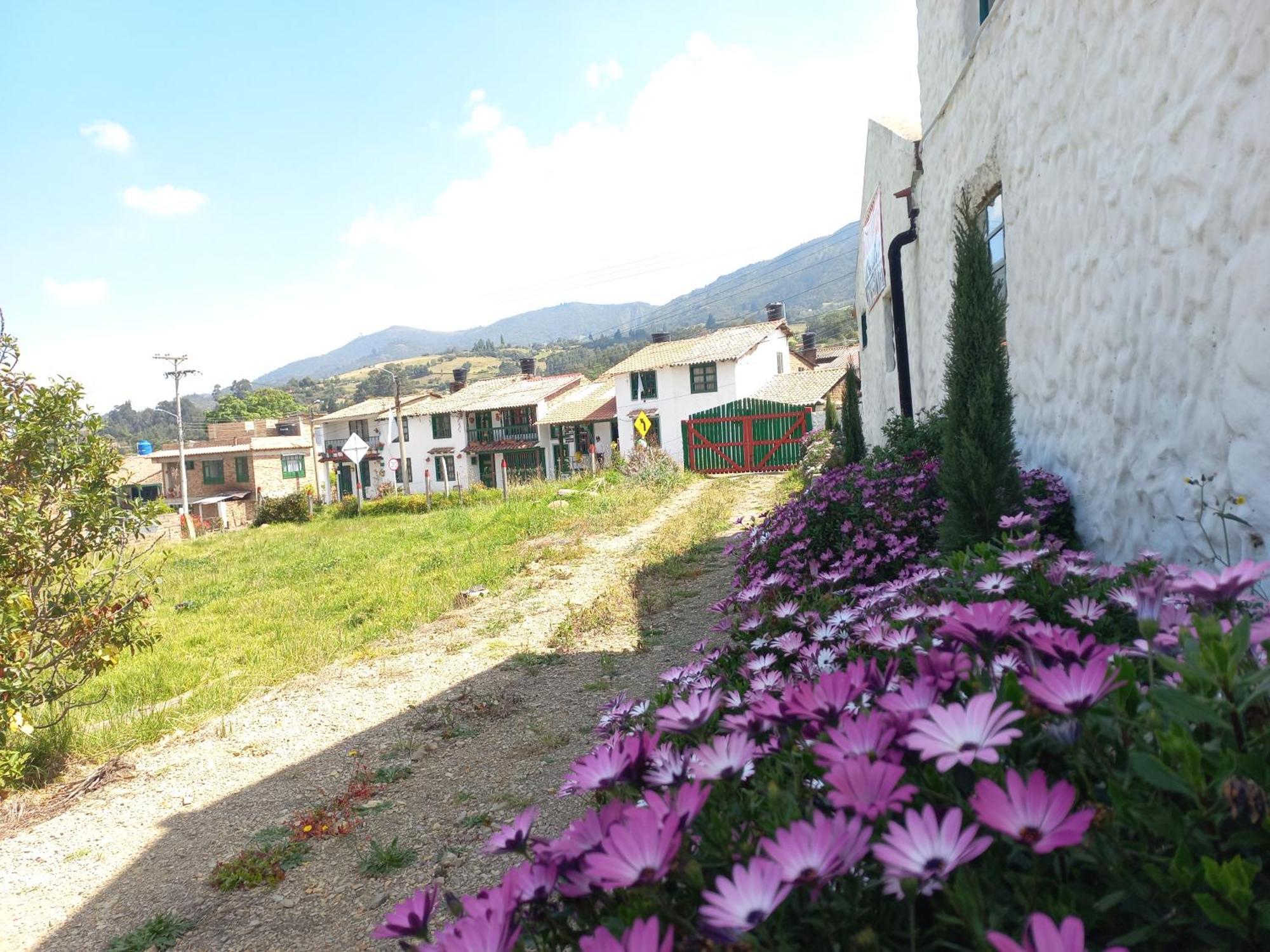 Hospedaje Y Camping Del Rio Mongui Bagian luar foto