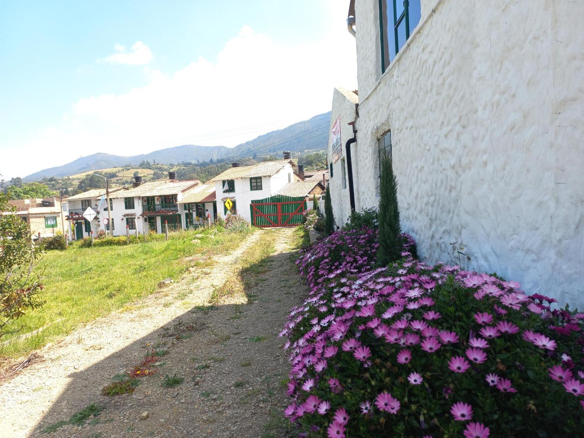 Hospedaje Y Camping Del Rio Mongui Bagian luar foto