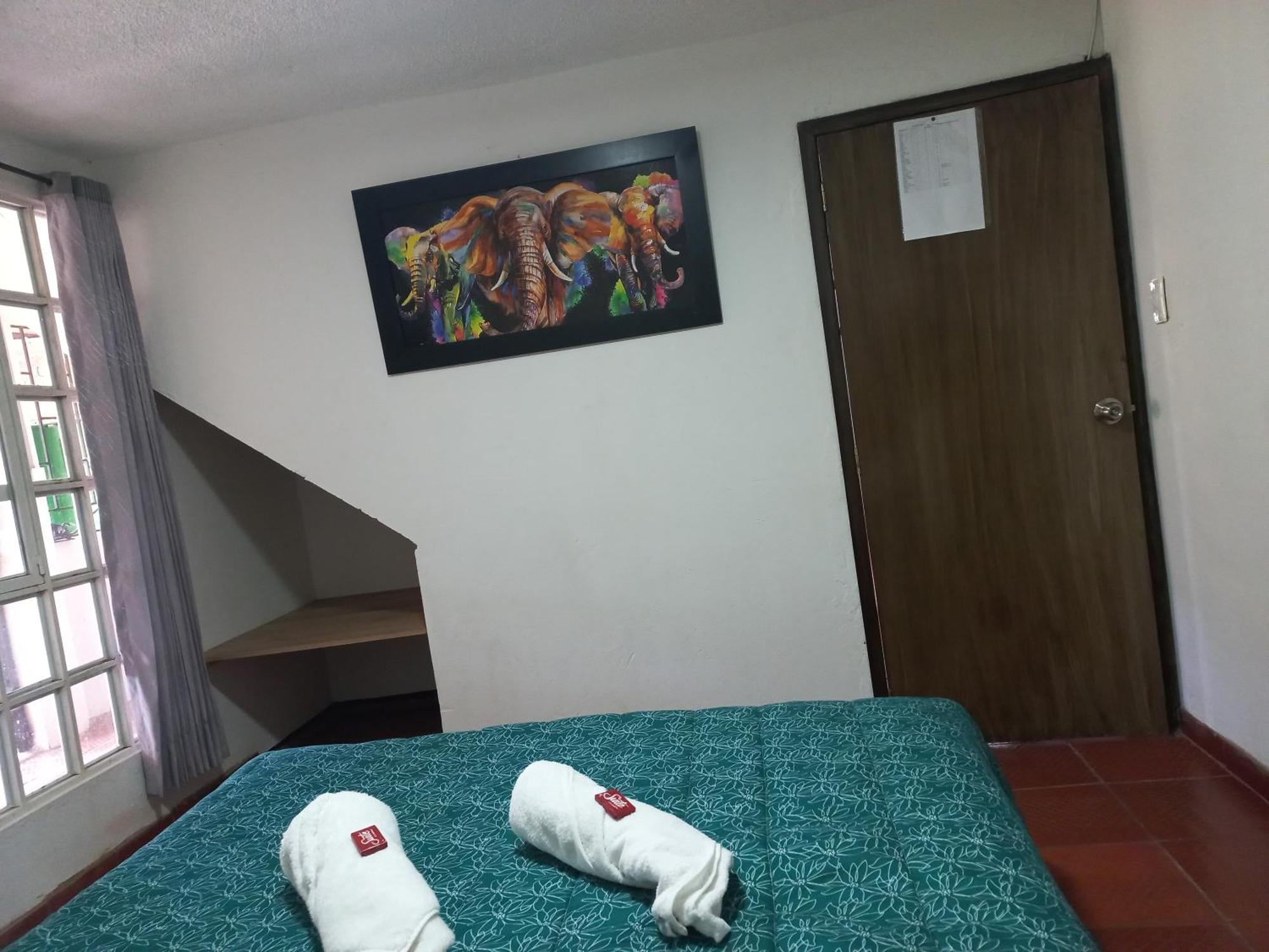 Hospedaje Y Camping Del Rio Mongui Bagian luar foto