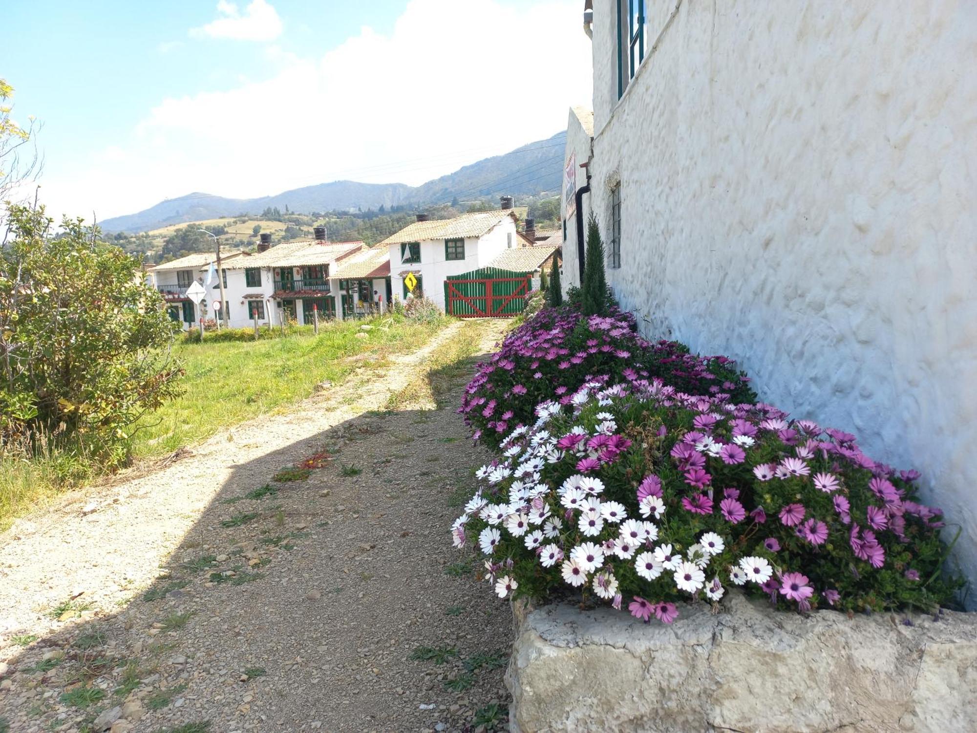 Hospedaje Y Camping Del Rio Mongui Bagian luar foto